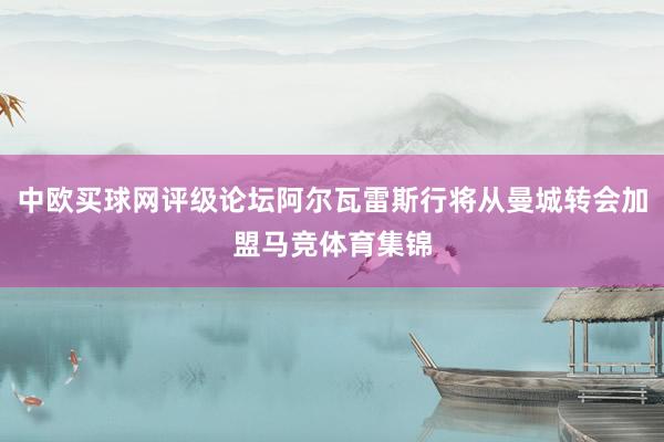 中欧买球网评级论坛阿尔瓦雷斯行将从曼城转会加盟马竞体育集锦