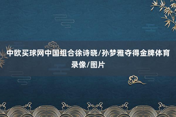 中欧买球网中国组合徐诗晓/孙梦雅夺得金牌体育录像/图片