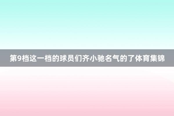 第9档这一档的球员们齐小驰名气的了体育集锦