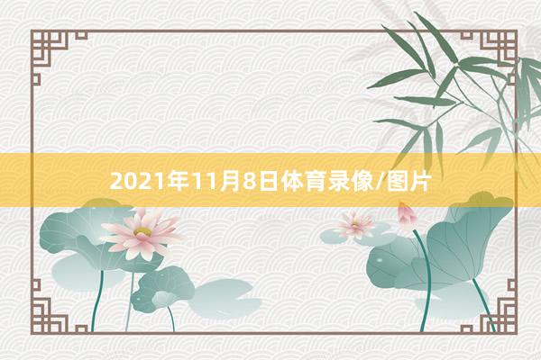 2021年11月8日体育录像/图片