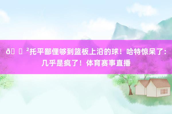 😲托平鄙俚够到篮板上沿的球！哈特惊呆了：几乎是疯了！体育赛事直播